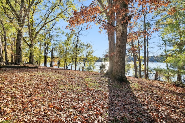 view of landscape with a water view