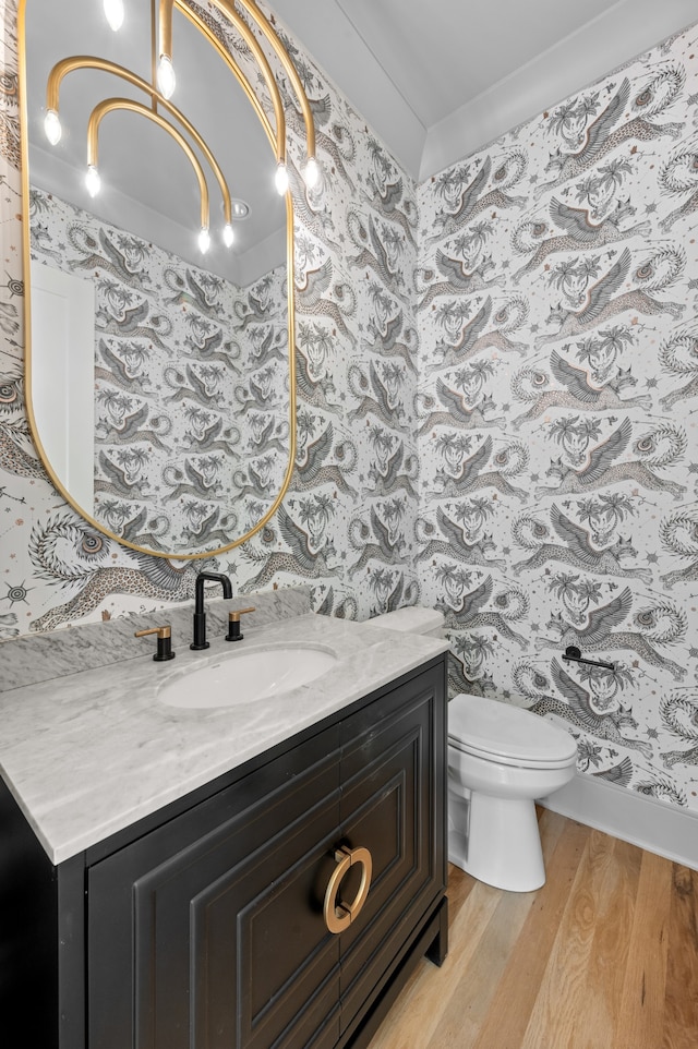 bathroom featuring hardwood / wood-style floors, vanity, and toilet