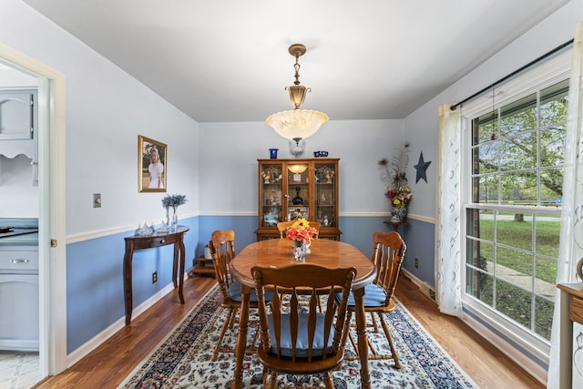 dining area featuring hardwood / wood-style flooring