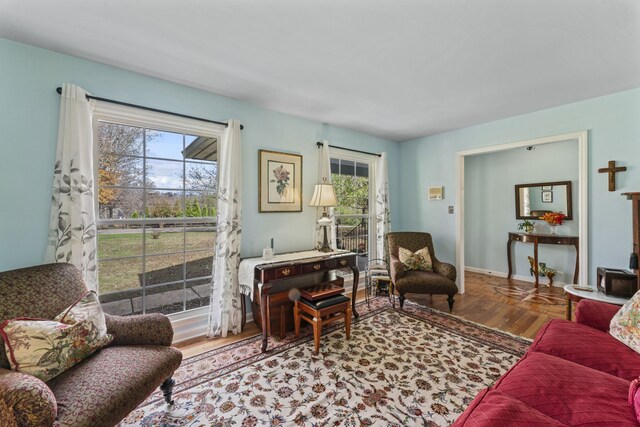 living room with hardwood / wood-style flooring