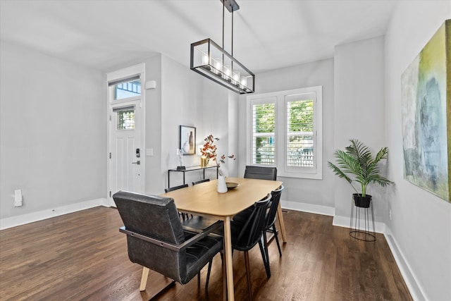 dining room with dark hardwood / wood-style flooring