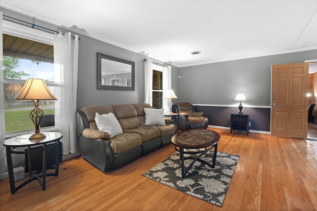 living room featuring ornamental molding and light wood-type flooring