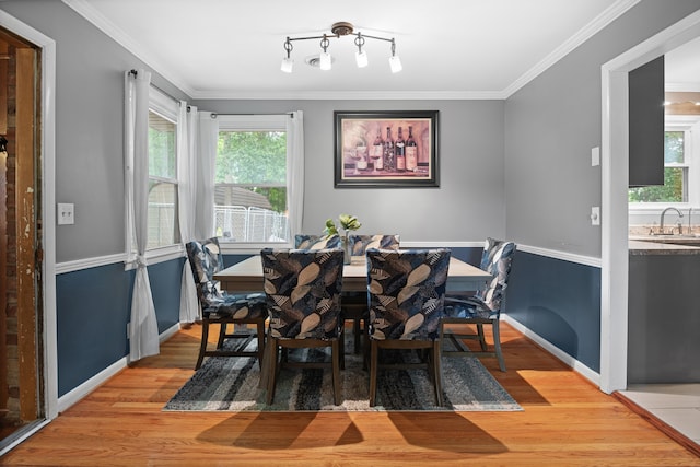 dining room with crown molding, a healthy amount of sunlight, and light wood-type flooring