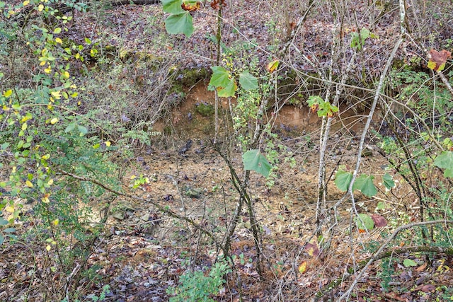 view of landscape