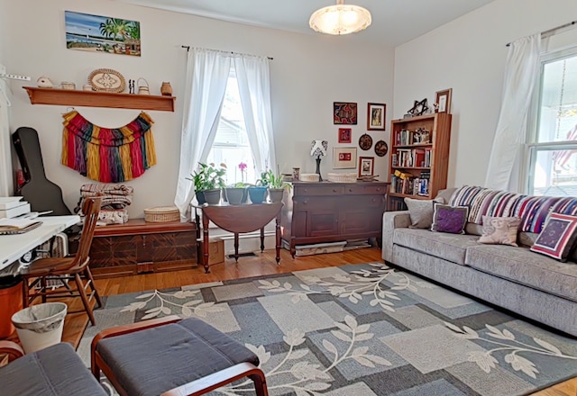 living room featuring hardwood / wood-style flooring