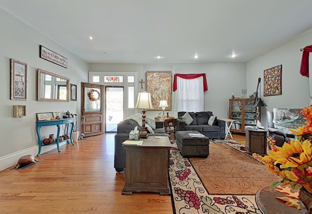 living room featuring light hardwood / wood-style flooring