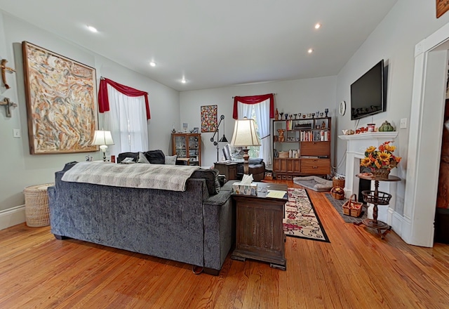 living room with light hardwood / wood-style floors