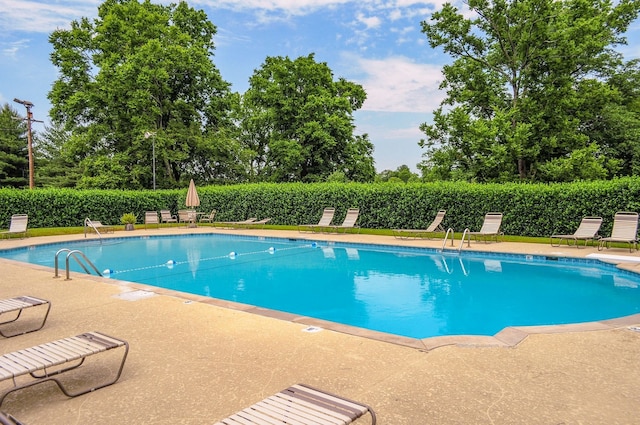 view of swimming pool featuring a patio area