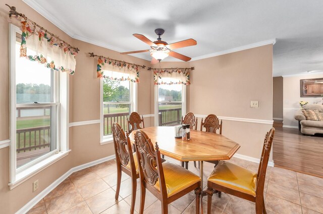 812 Pipkin Rd, Jackson, TN 38305 - photo 17
