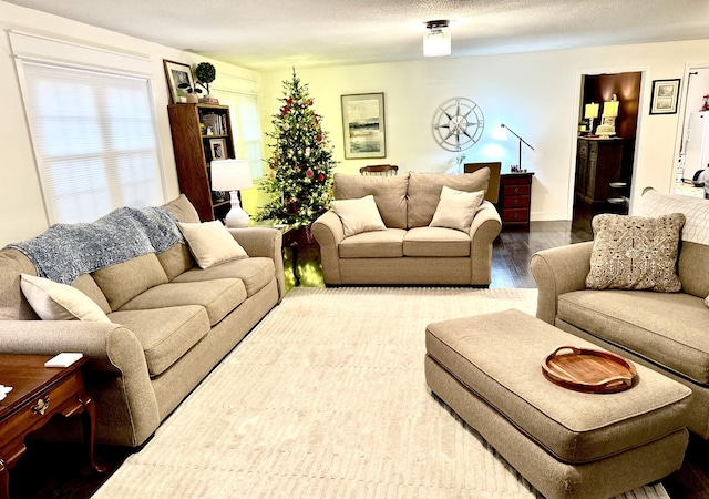 living room with hardwood / wood-style floors and a textured ceiling