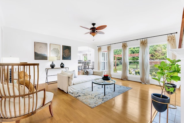 living room featuring ceiling fan and light hardwood / wood-style flooring