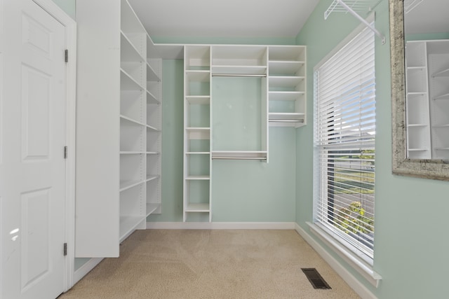 walk in closet with carpet floors