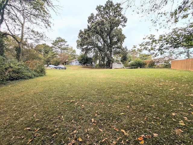 view of yard with a storage shed