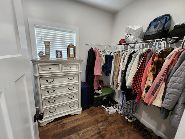 walk in closet featuring dark hardwood / wood-style floors