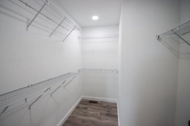 walk in closet featuring dark hardwood / wood-style flooring