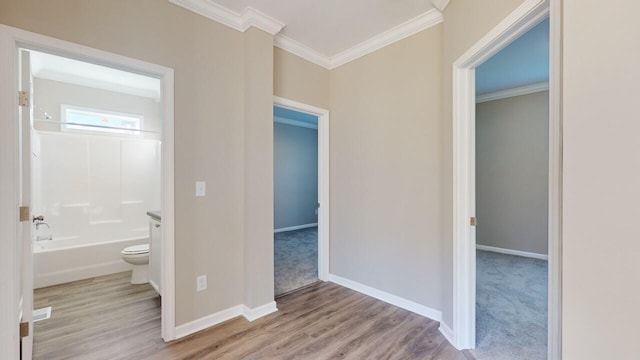 corridor featuring ornamental molding and light wood-type flooring