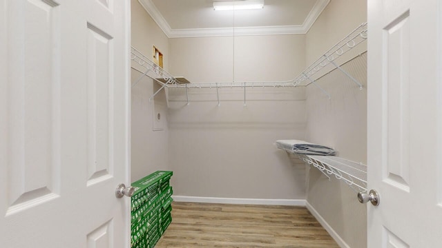 spacious closet featuring light hardwood / wood-style flooring