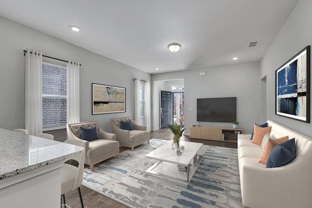 living room featuring hardwood / wood-style floors