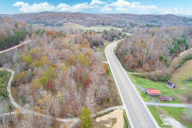 drone / aerial view with a mountain view