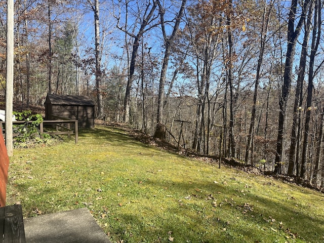 view of yard with a shed