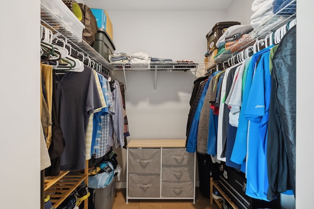 spacious closet with hardwood / wood-style floors