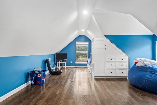 interior space with vaulted ceiling and dark wood-type flooring