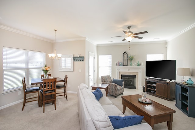 carpeted living room with ceiling fan with notable chandelier and ornamental molding