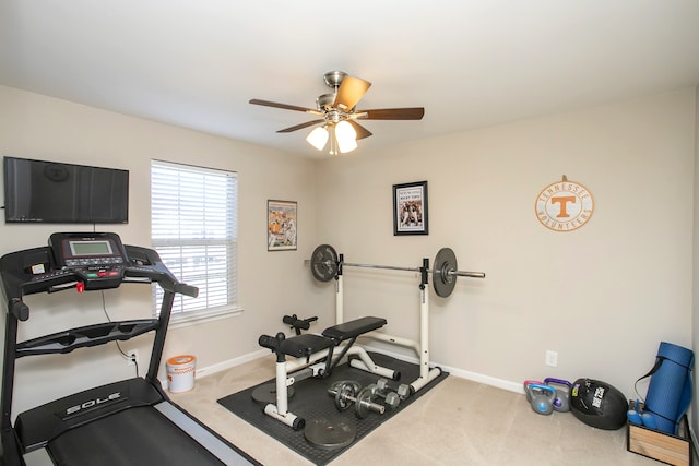 workout room featuring carpet and ceiling fan