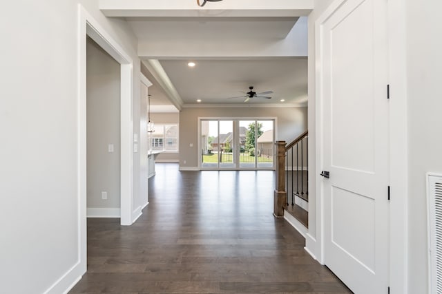 hallway with crown molding and dark hardwood / wood-style flooring