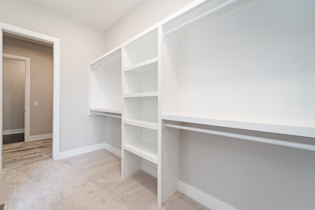 spacious closet with light carpet