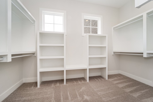 spacious closet with carpet flooring