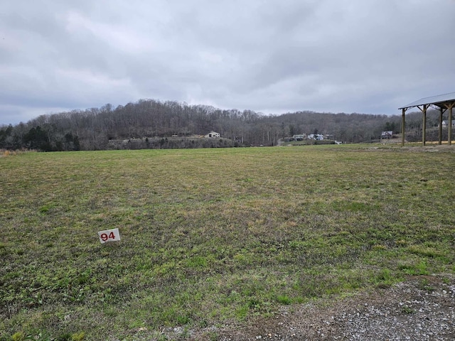 0 Hardin Bottom River Rd, Clifton, TN 38425