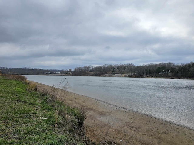 0 Hardin Bottom River Rd, Clifton, TN 38425