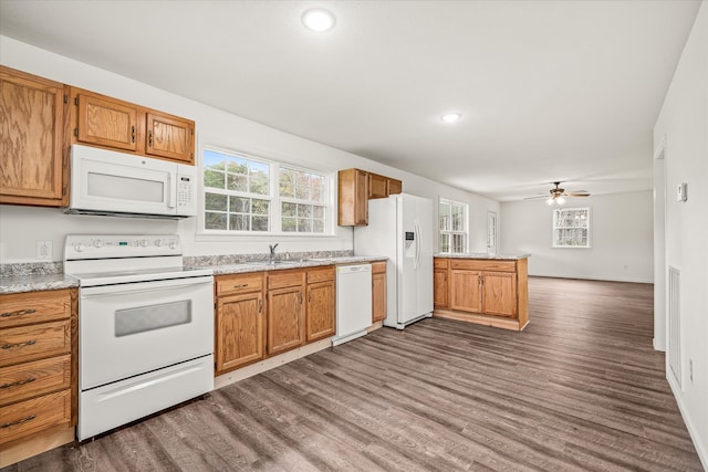 kitchen with white appliances, dark hardwood / wood-style floors, ceiling fan, and sink