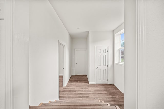 hallway featuring hardwood / wood-style flooring