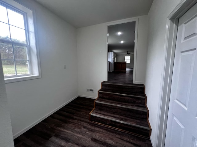 staircase with hardwood / wood-style floors, ceiling fan, and plenty of natural light