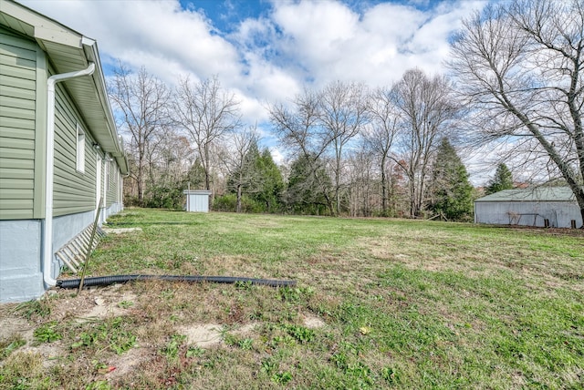 view of yard featuring a shed