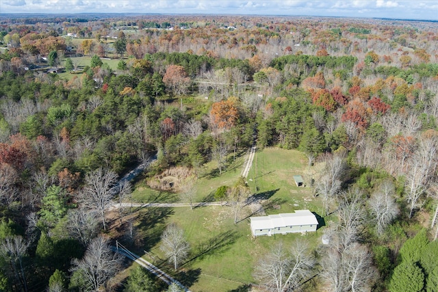 aerial view