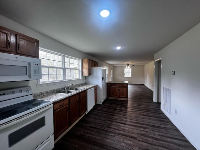 kitchen with ceiling fan, sink, dark wood-type flooring, and white appliances