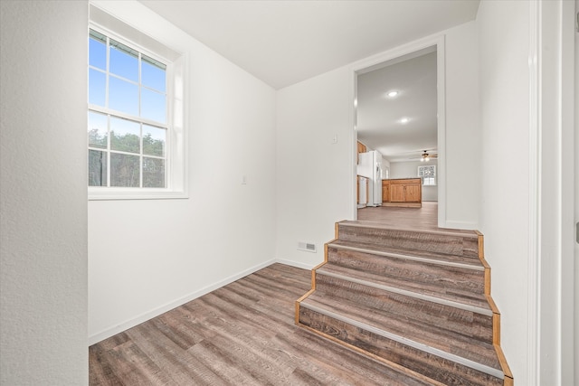 stairs with ceiling fan and hardwood / wood-style flooring