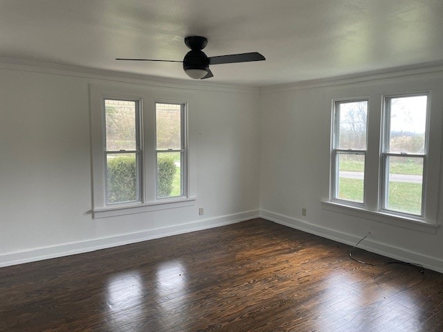 spare room featuring ceiling fan, dark hardwood / wood-style flooring, and crown molding