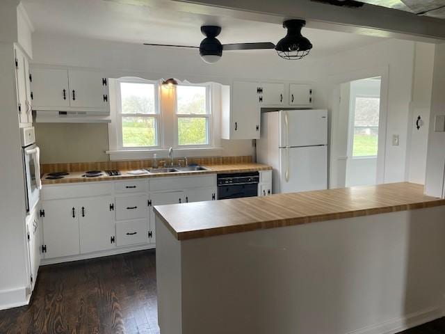 60 Riddle Rd, Shelbyville, TN 37160 - kitchen with white appliances, dark wood-style flooring, under cabinet range hood, and white cabinetry