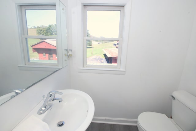 bathroom with a wealth of natural light, toilet, sink, and hardwood / wood-style flooring