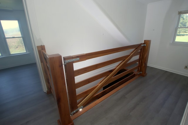 staircase featuring wood-type flooring