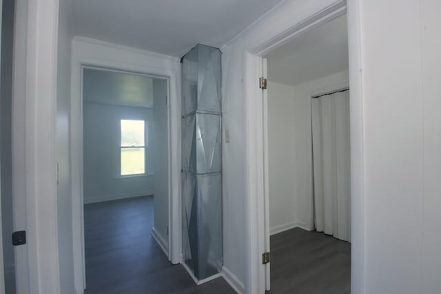 hallway with dark hardwood / wood-style flooring