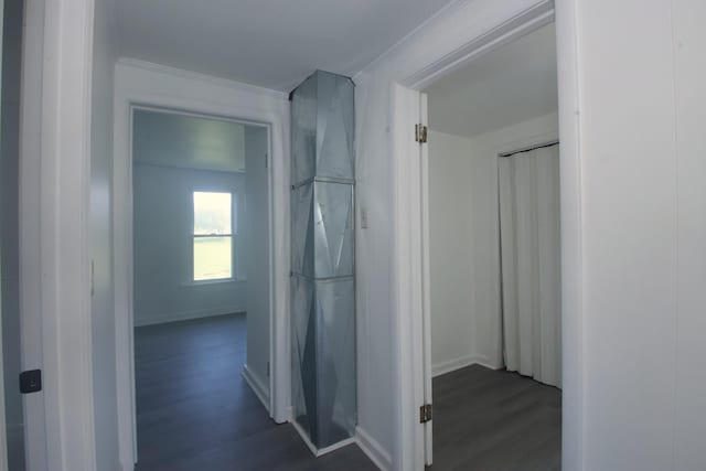 60 Riddle Rd, Shelbyville, TN 37160 - hall with dark wood-type flooring and crown molding