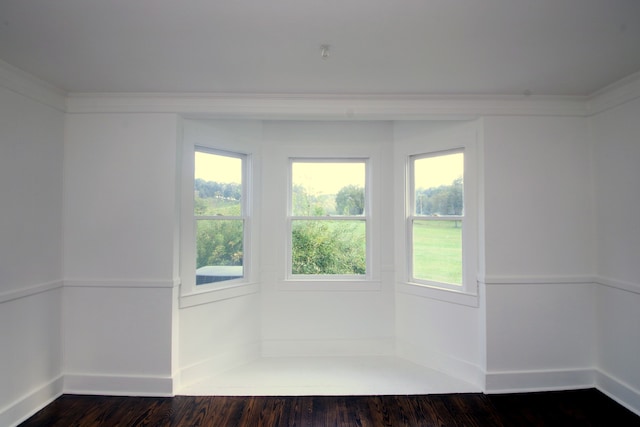 spare room with dark hardwood / wood-style flooring