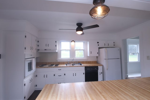 60 Riddle Rd, Shelbyville, TN 37160 - kitchen featuring white appliances, plenty of natural light, and white cabinets