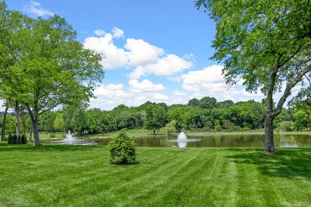 1702 Old Hillsboro Rd, Franklin, TN 37069 - view of green lawn with a water view