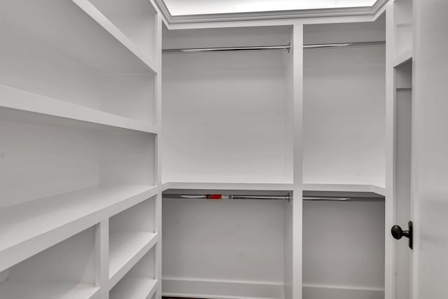 view of walk in closet